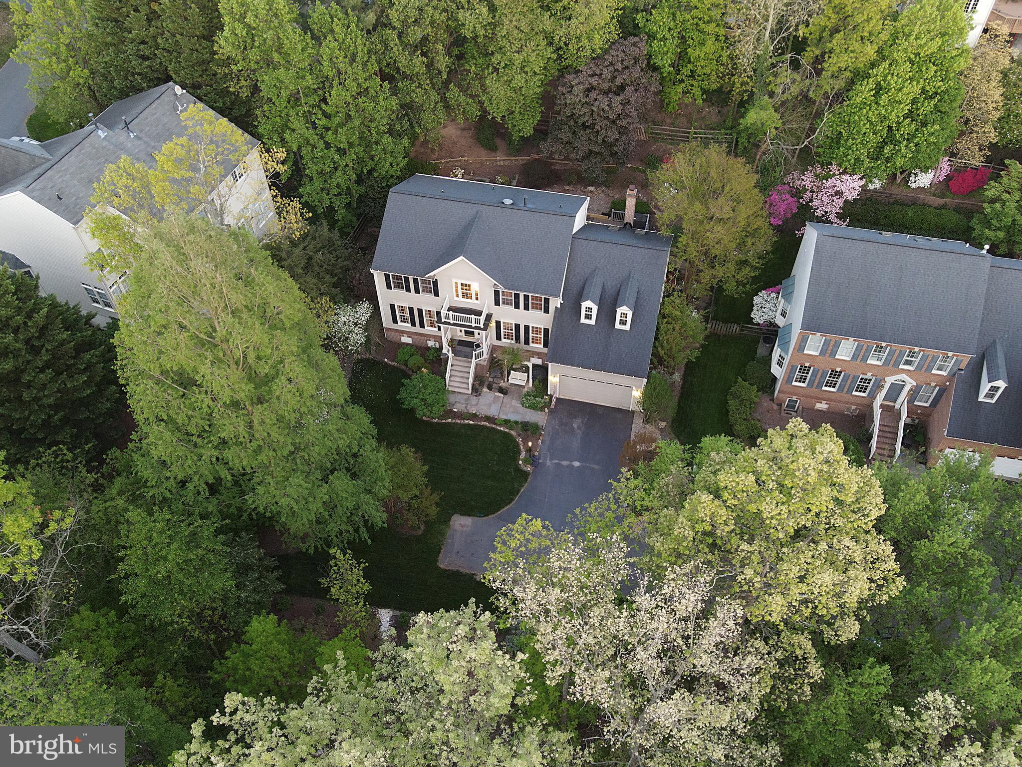 20584 Marsh