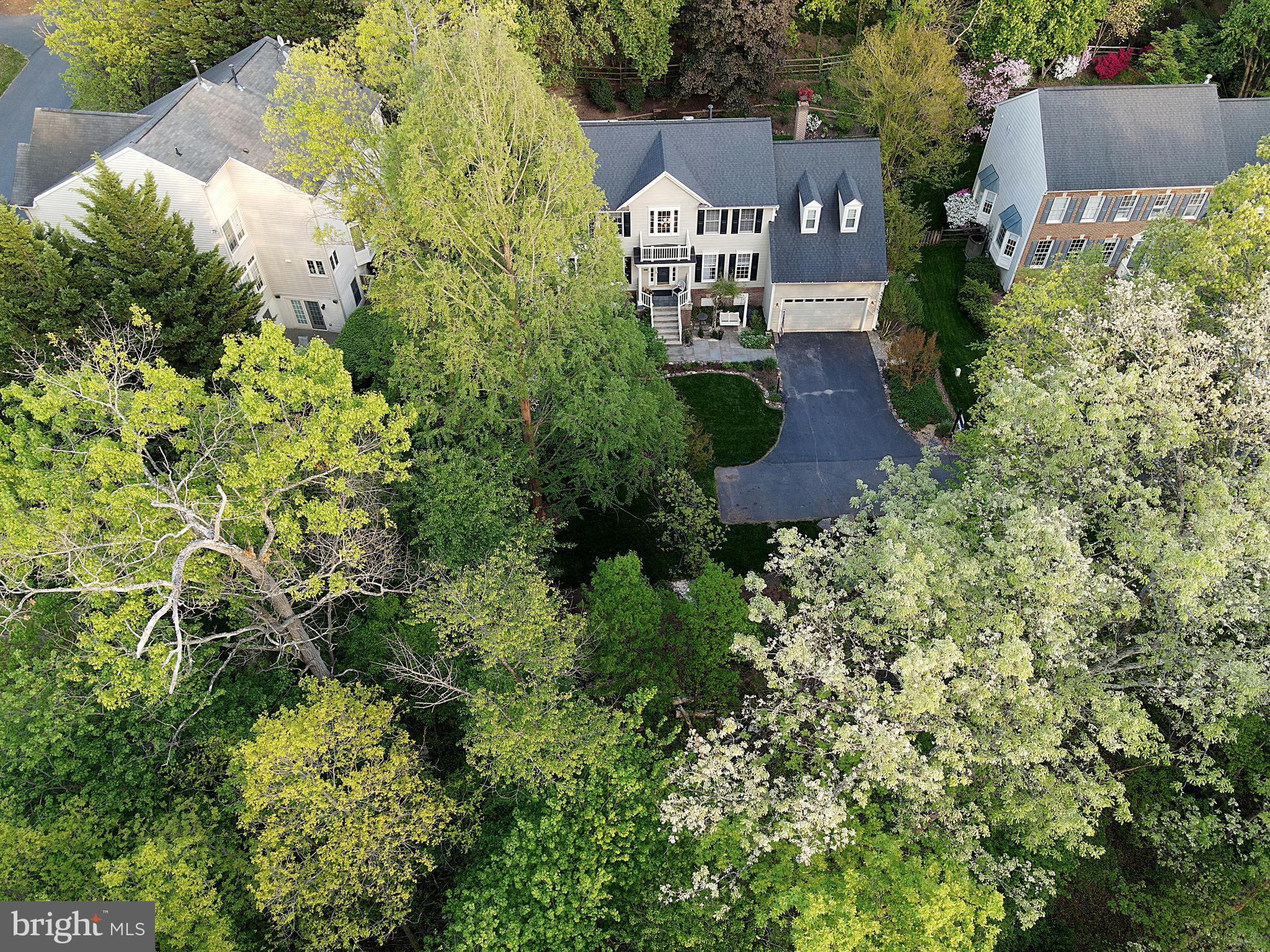 20584 Marsh