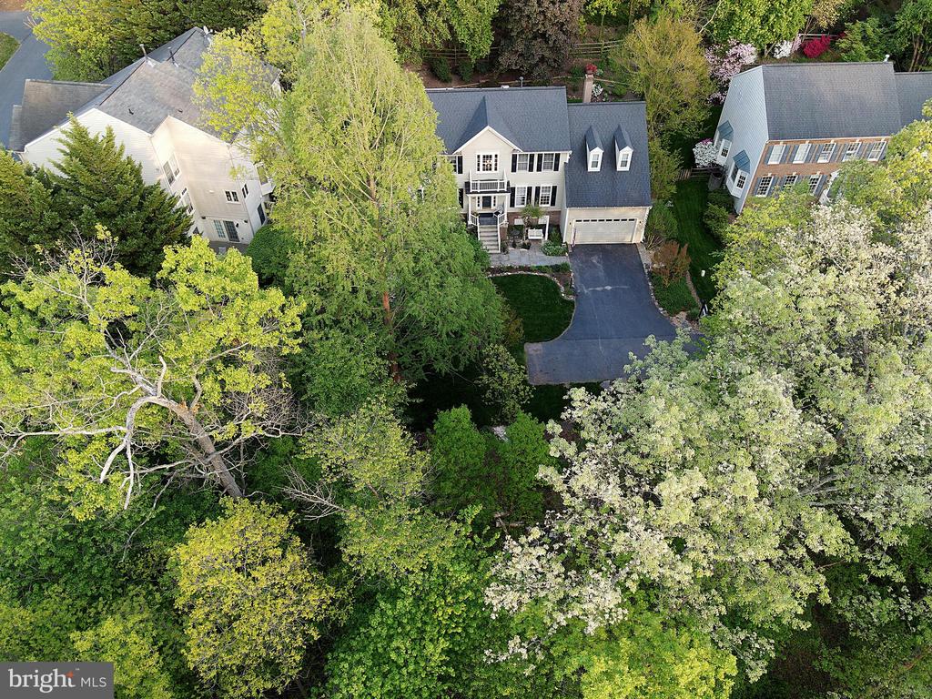20584 Marsh
