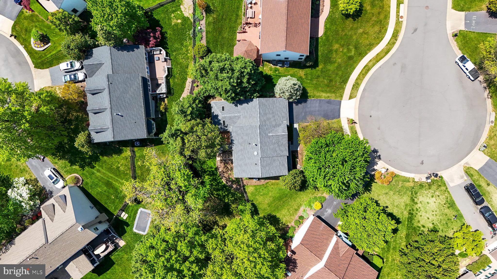 43291 Swampfox Ct