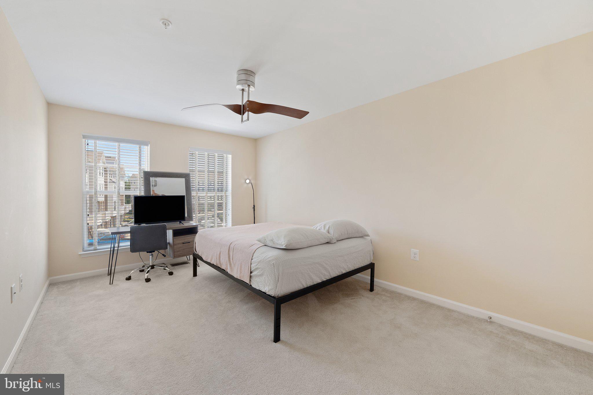 42195 Canary Grass Sq