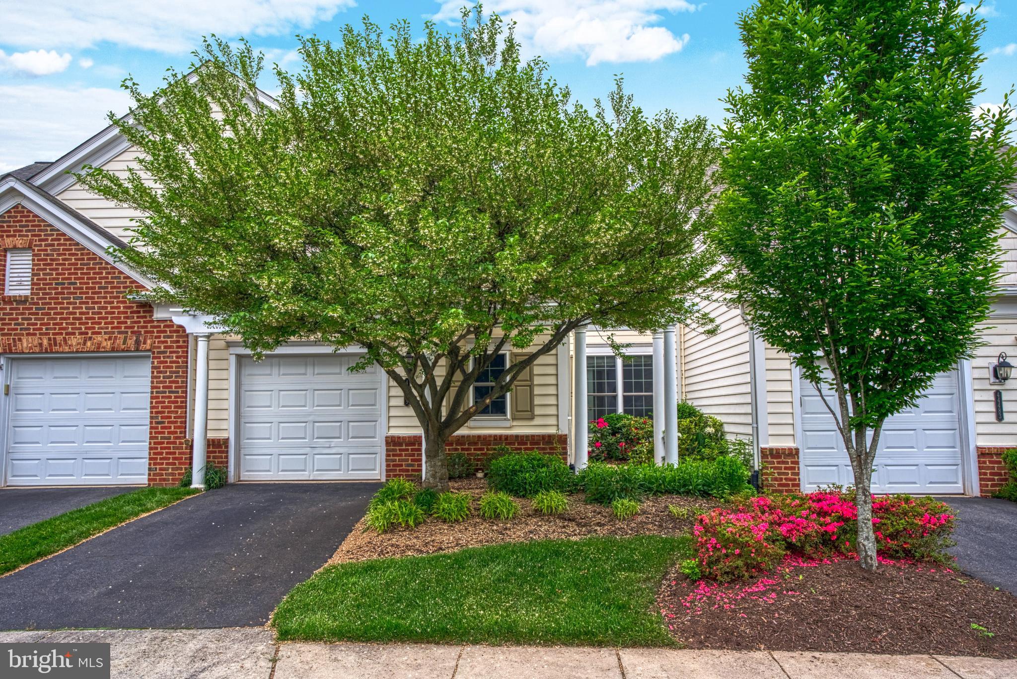 44485 Maltese Falcon Sq