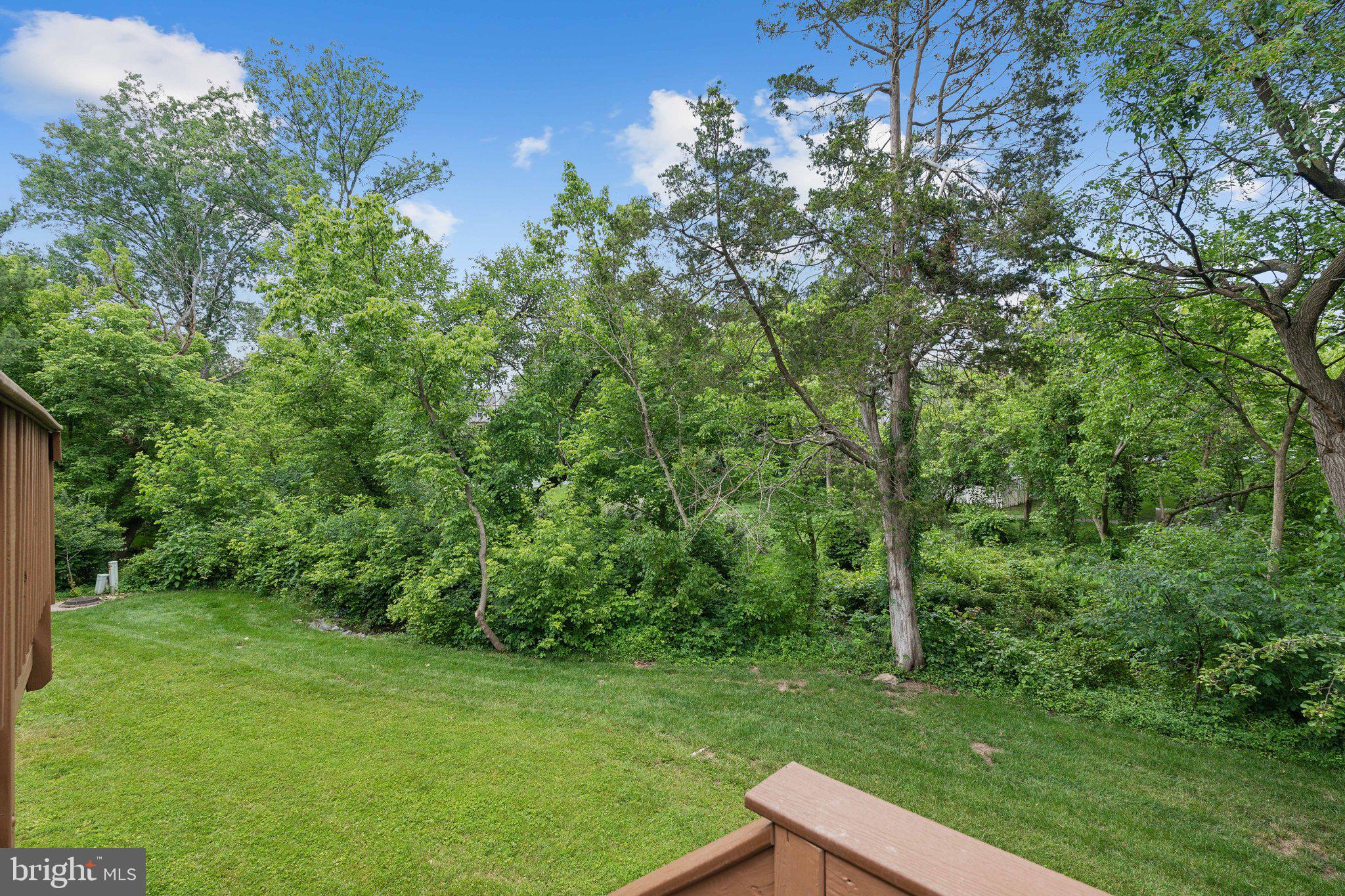43290 Swampfox Ct