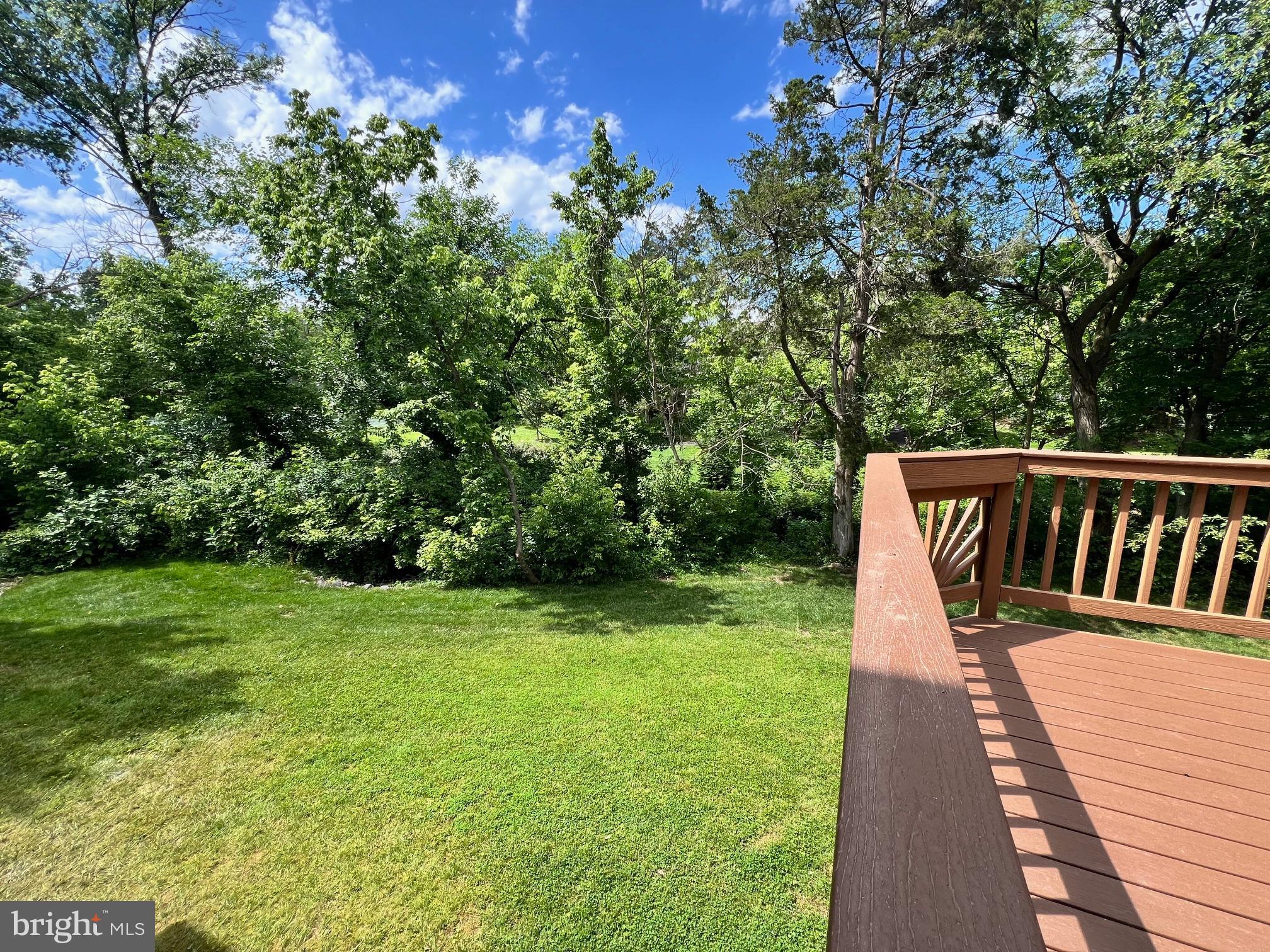 43290 Swampfox Ct