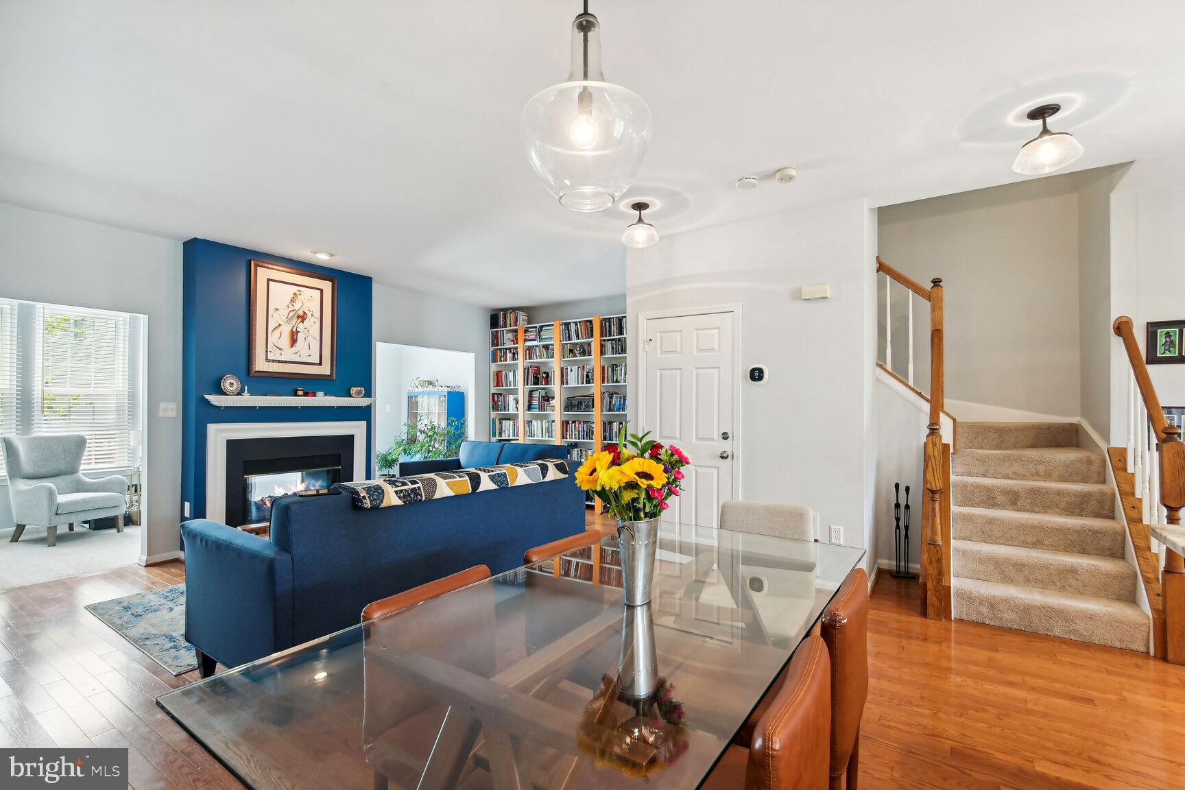 47377 DARKHOLLOW FALLS TER