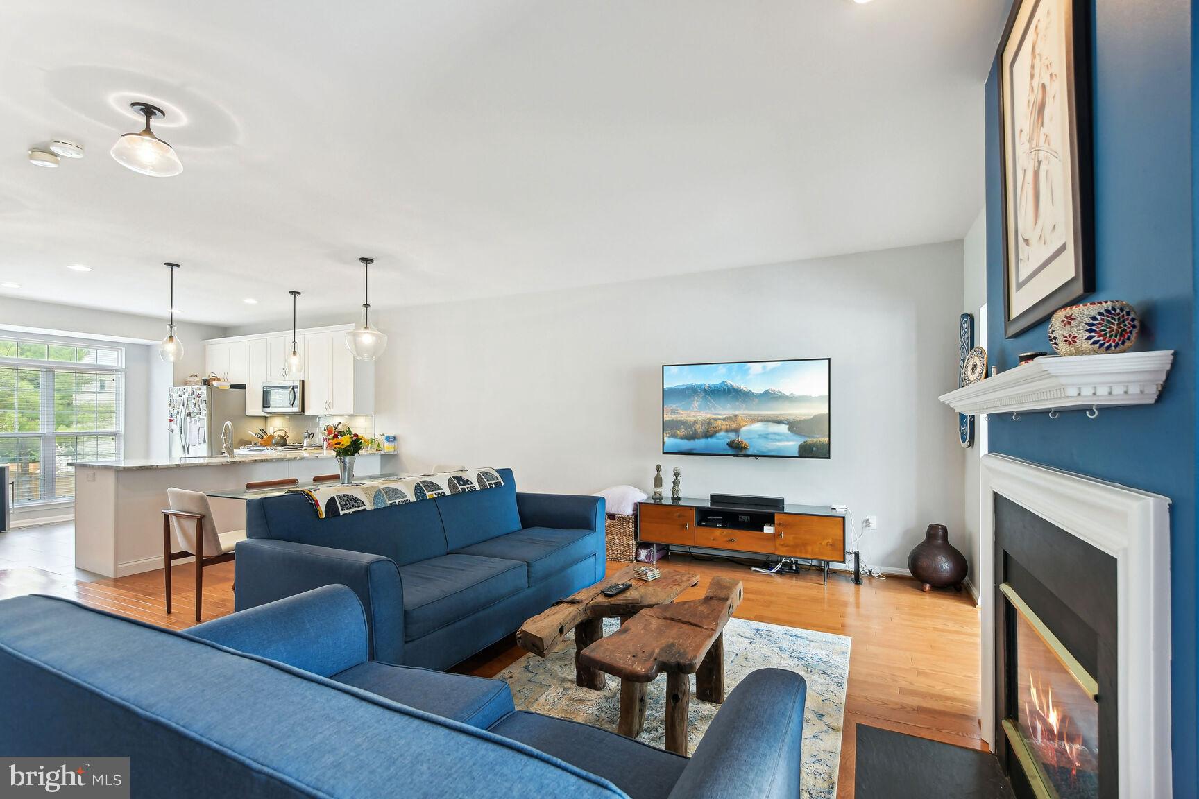 47377 DARKHOLLOW FALLS TER