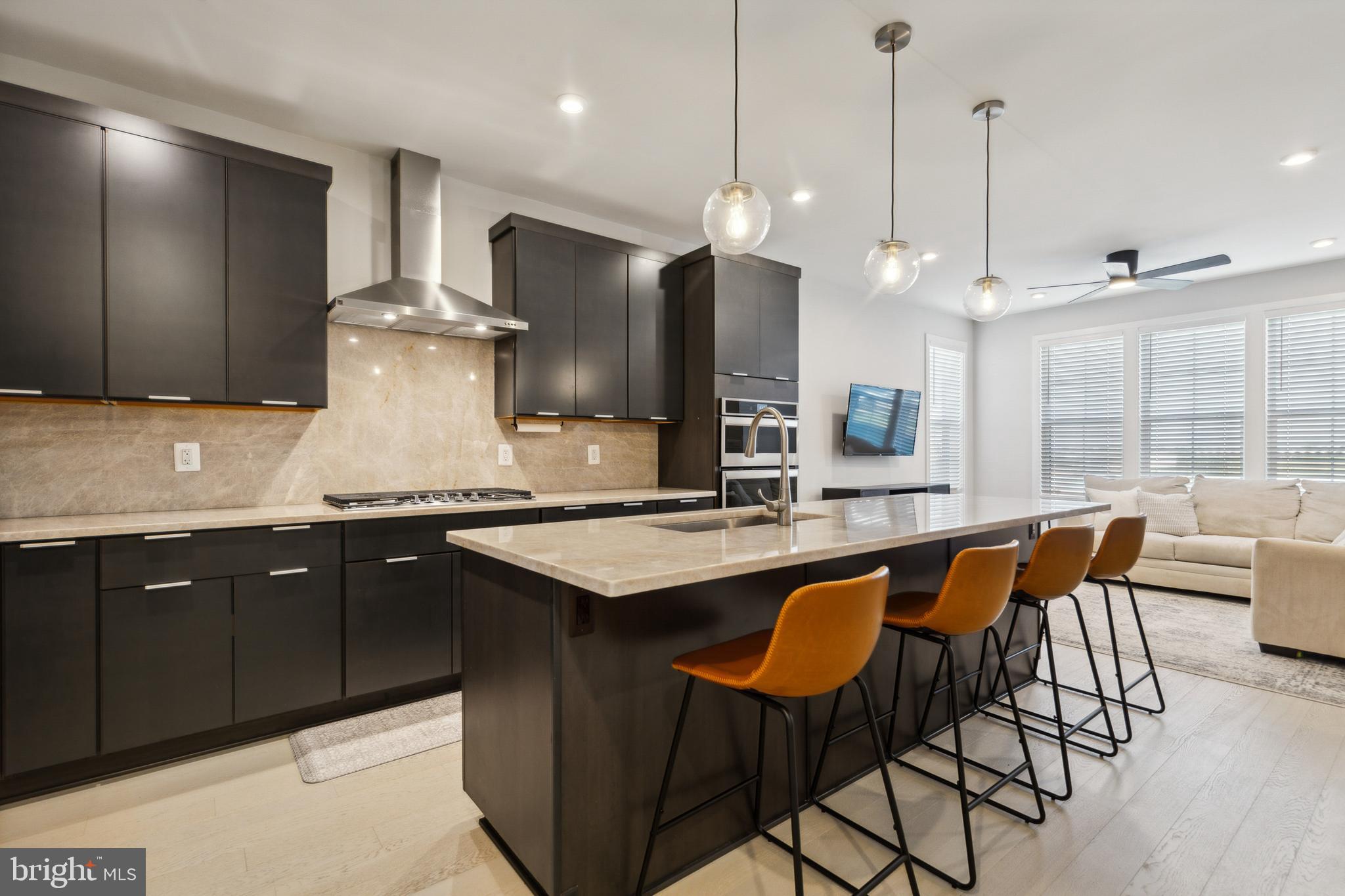 22318 ROANOKE RISE TER