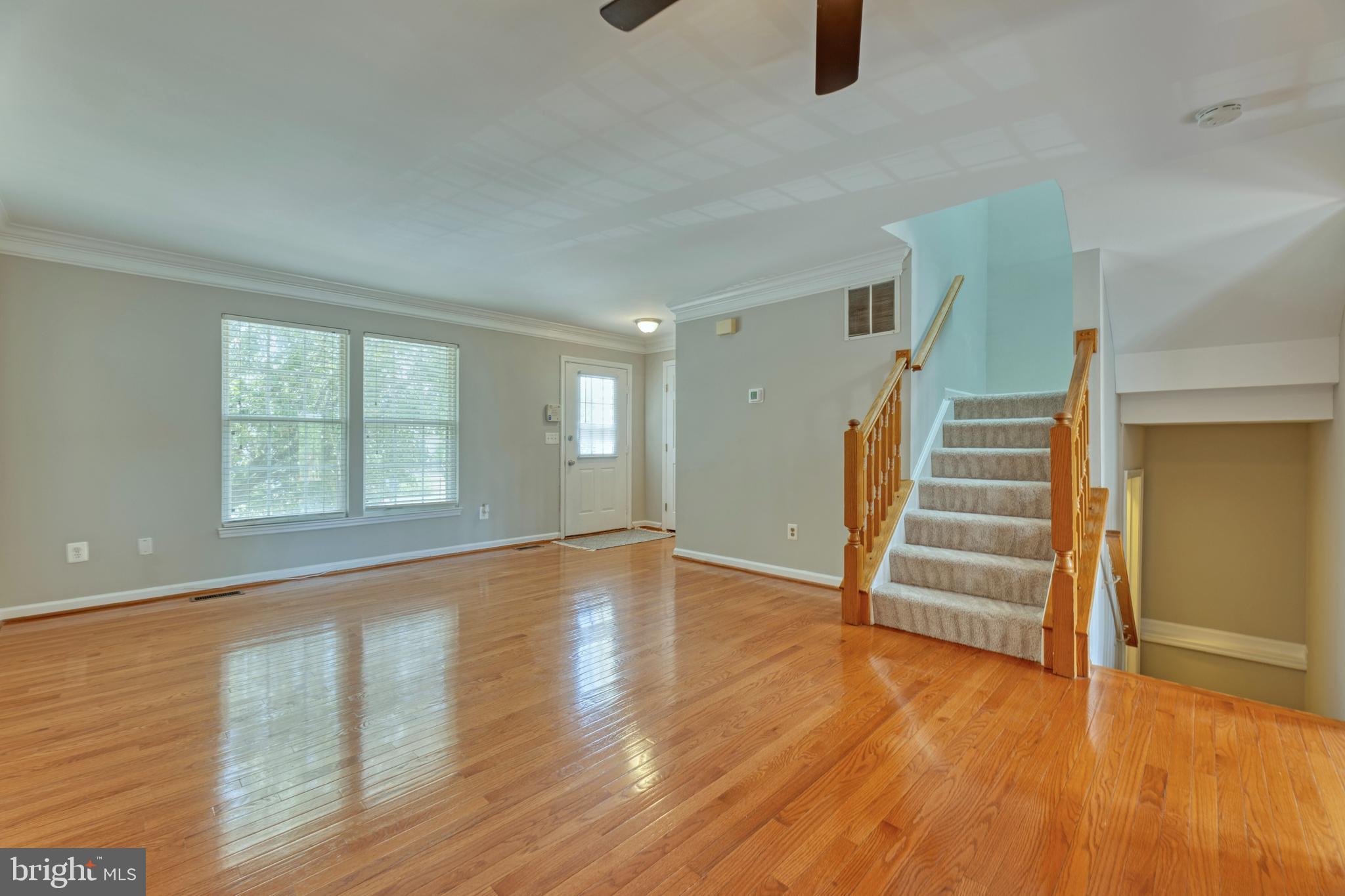 43960 Minthill Ter