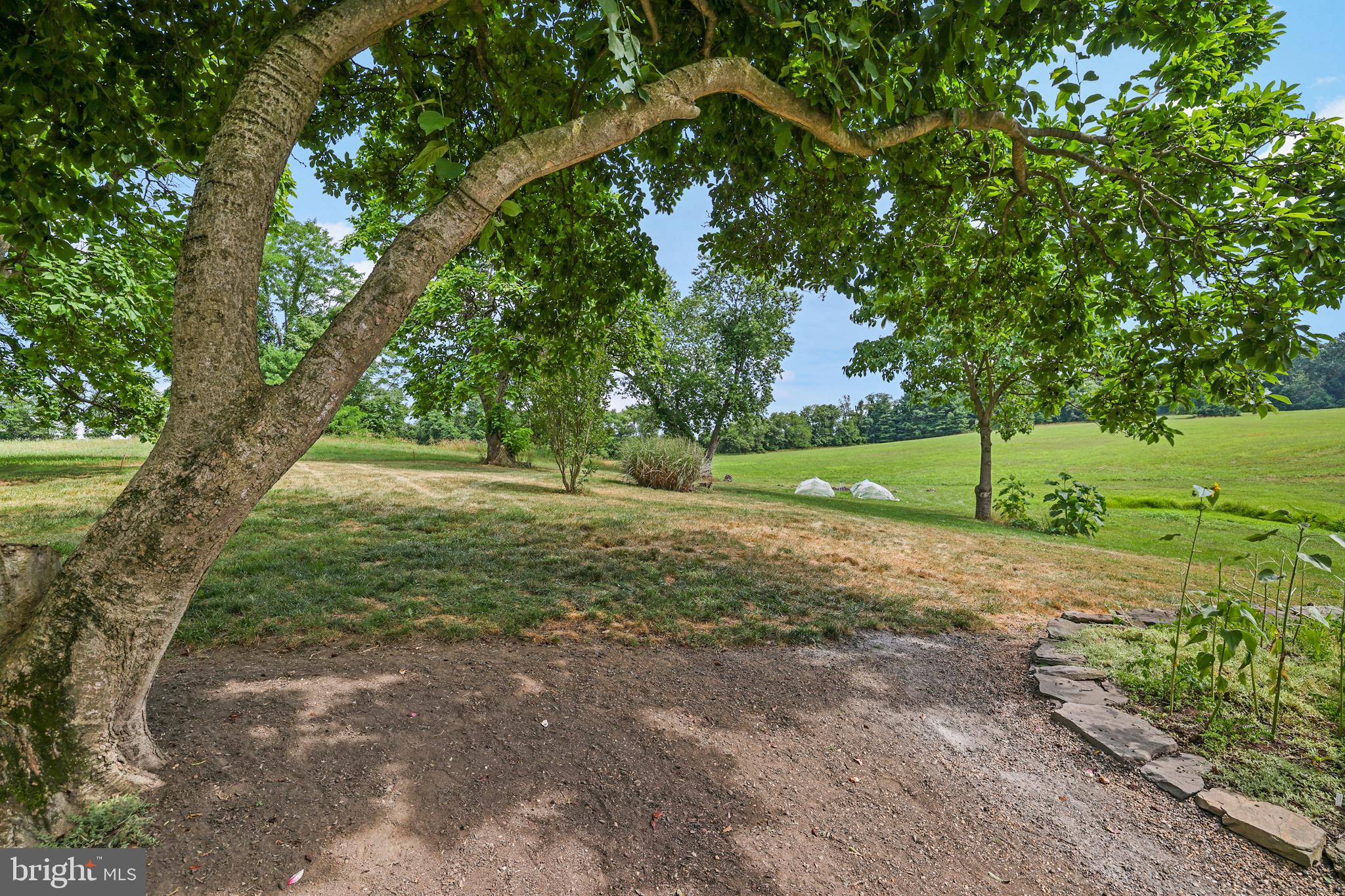 18373 LICKEY MILL RD