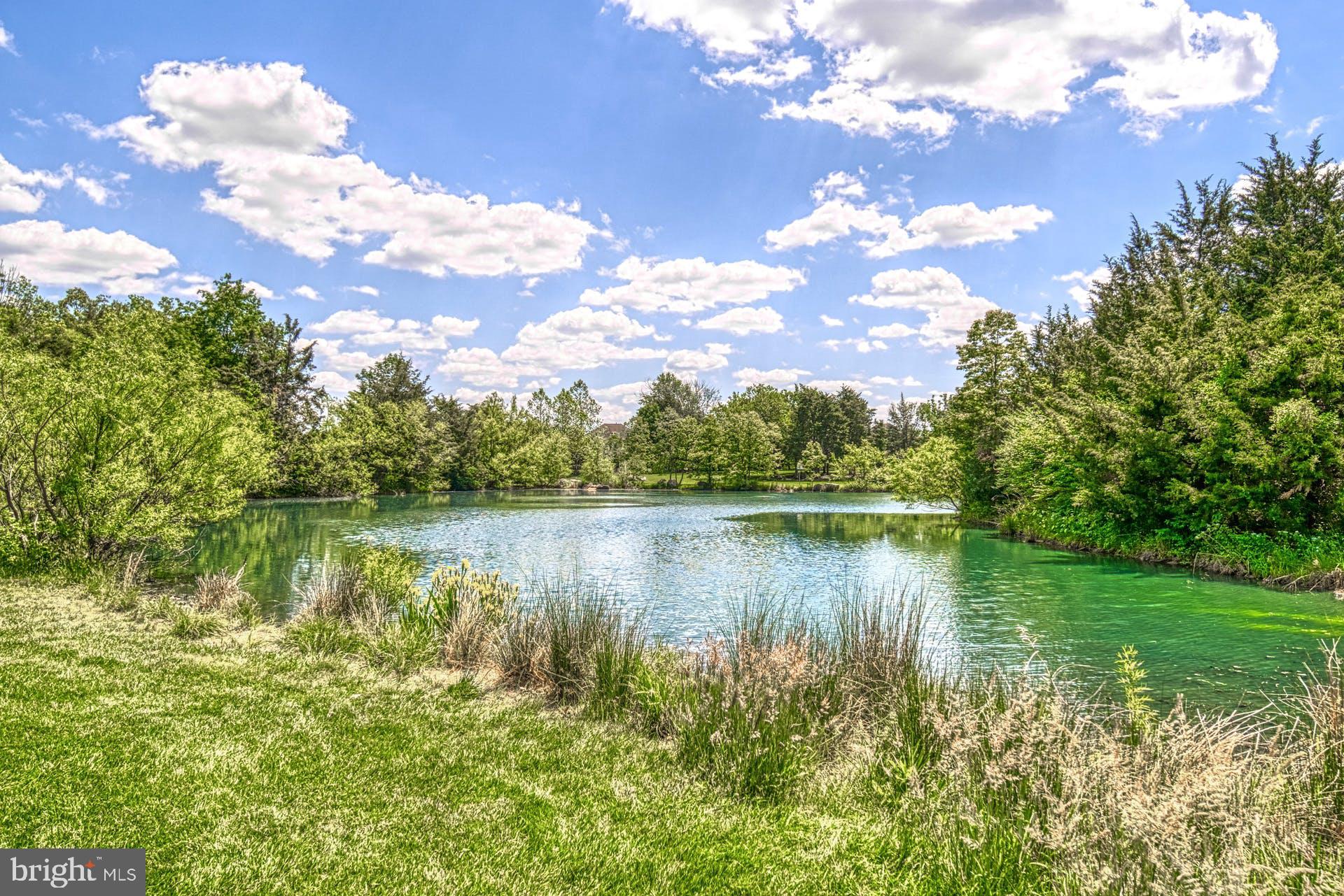 23016 White Ibis Drive