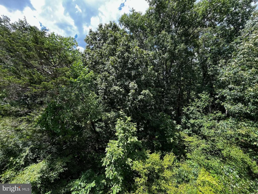 45766 WINDING BRANCH TERRACE