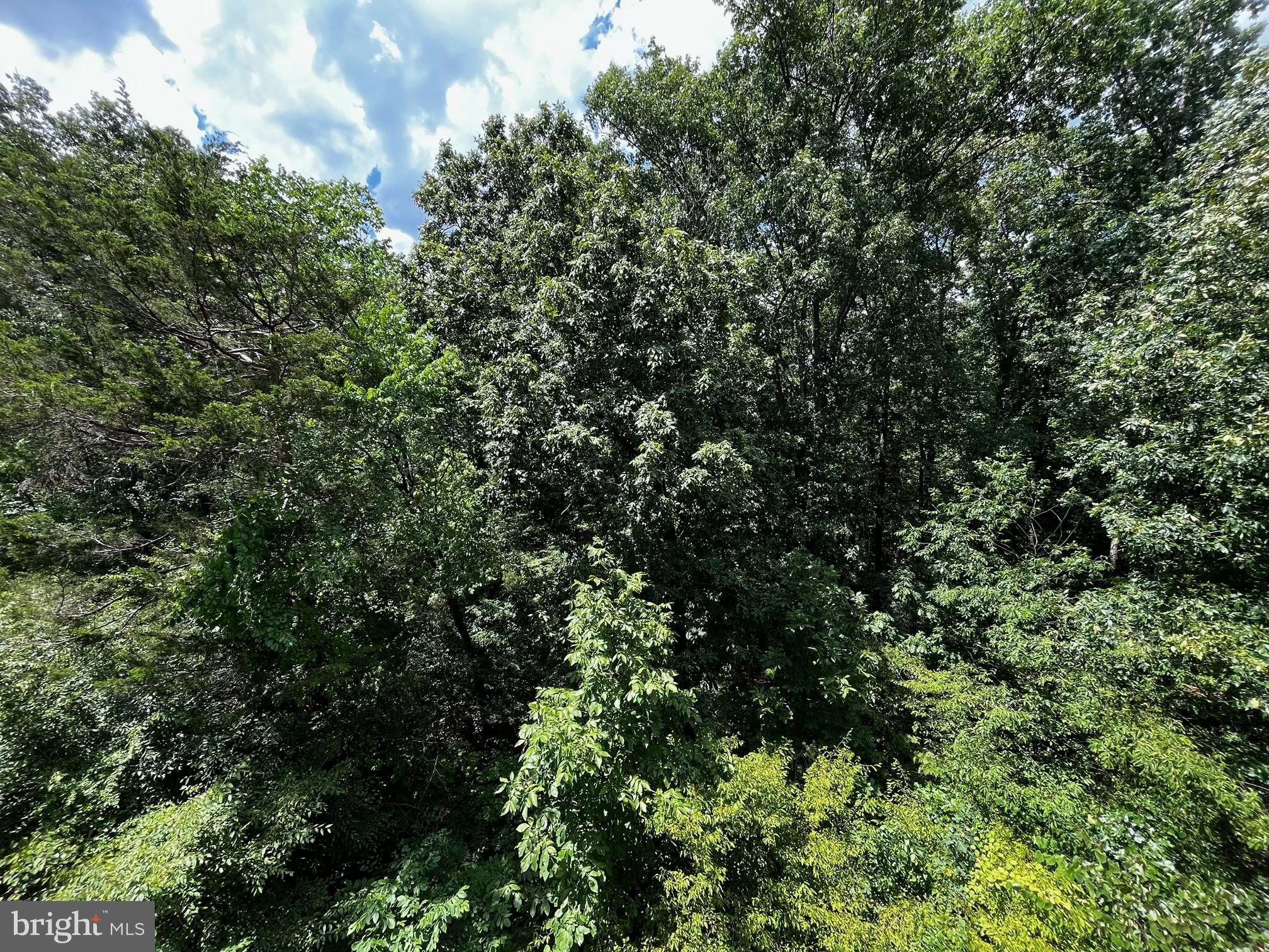 45766 WINDING BRANCH TERRACE