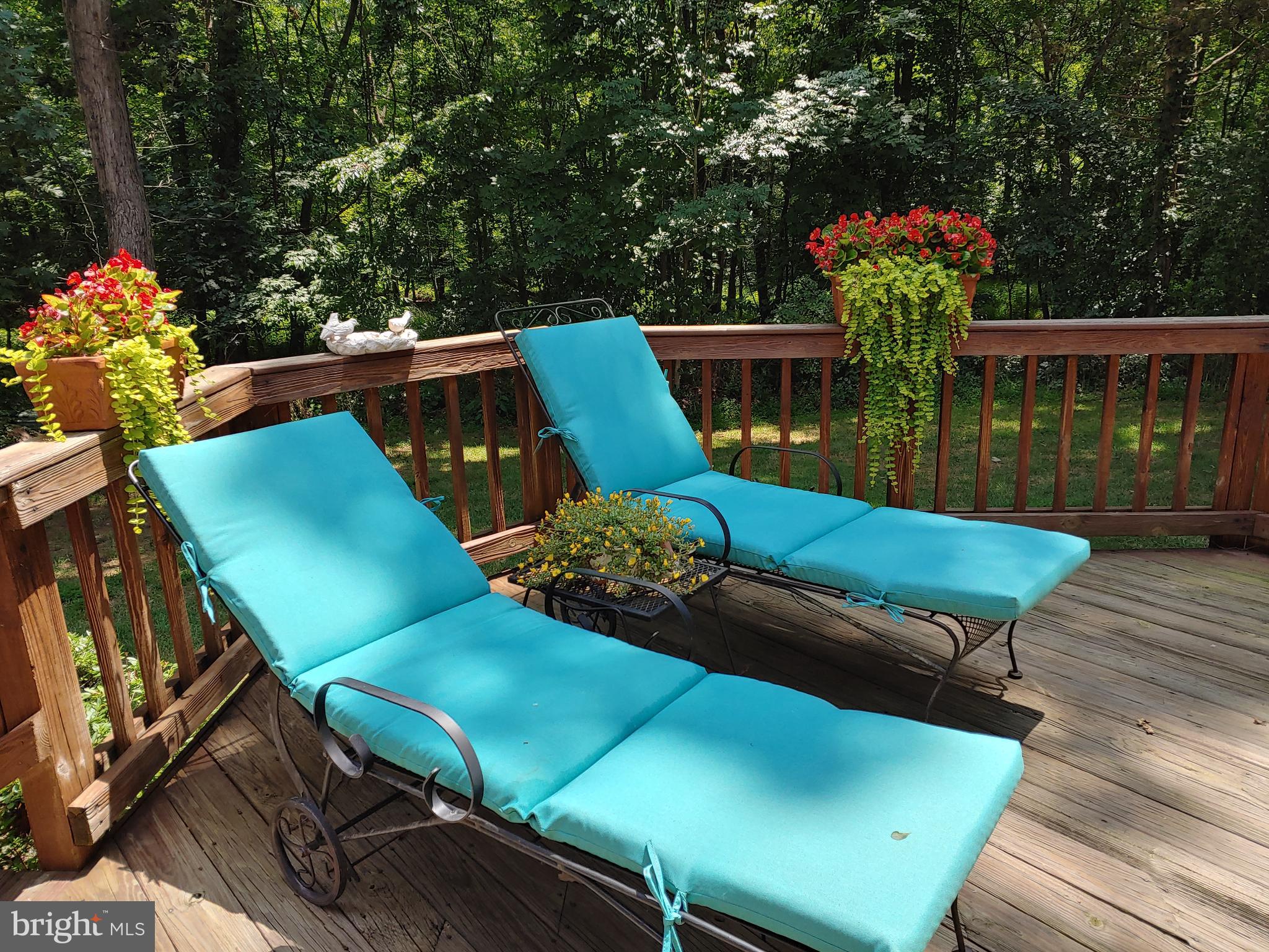 27 Rutherford Cir