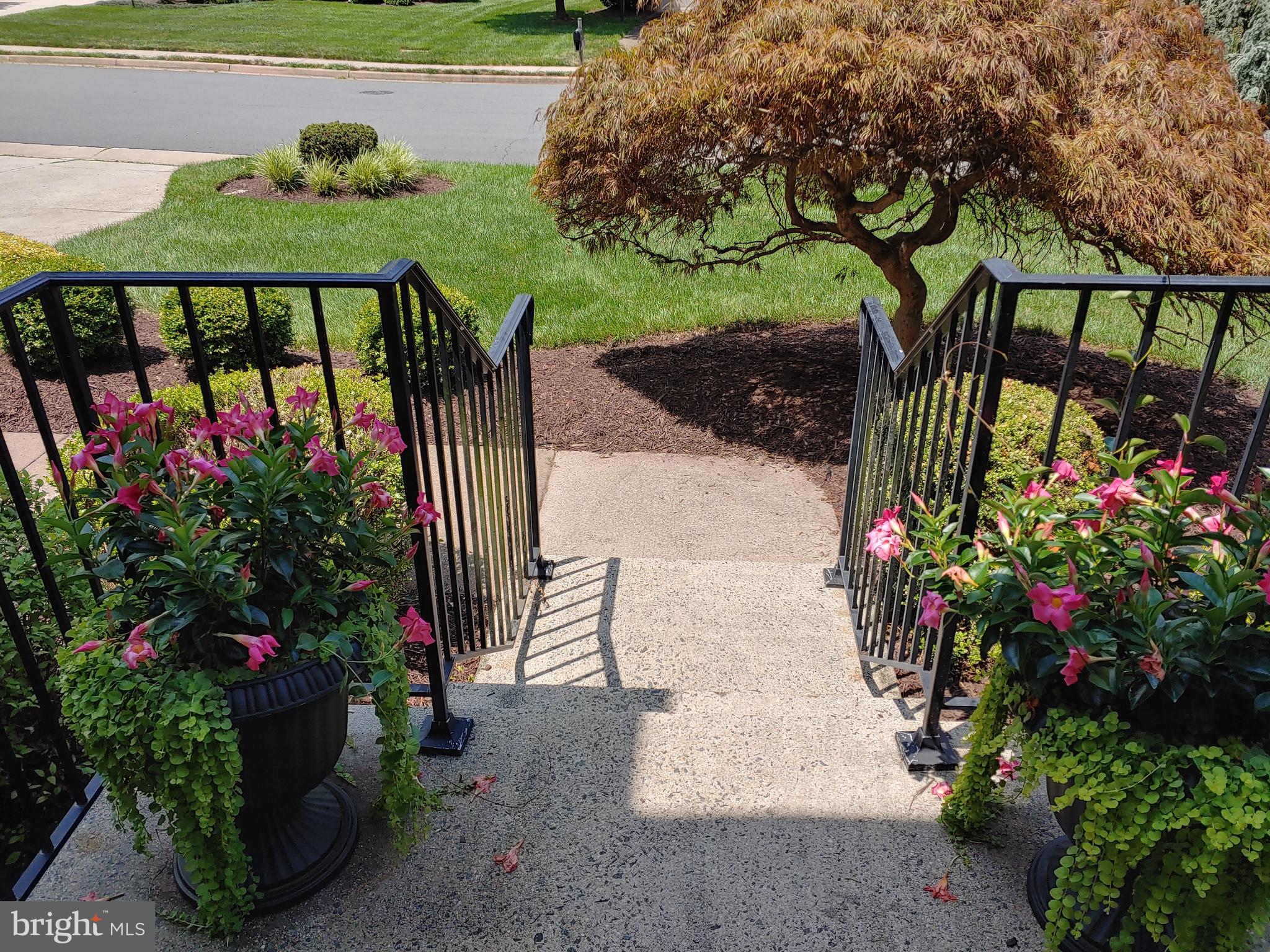27 Rutherford Cir