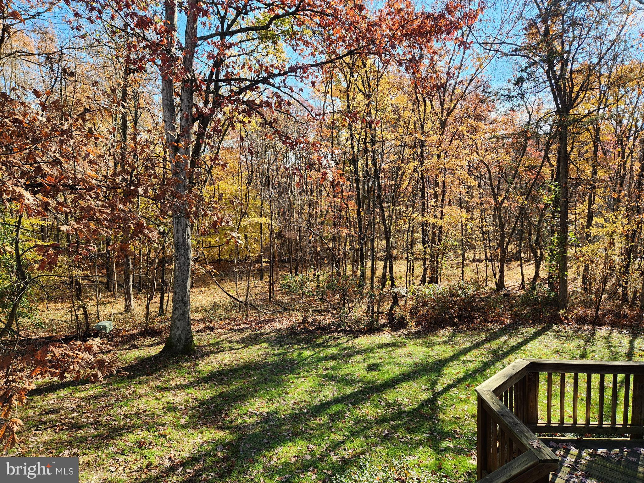 27 Rutherford Cir
