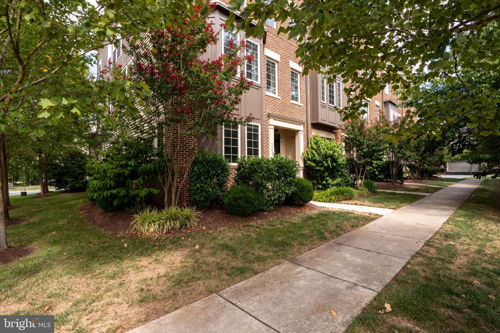 42251 Rachels Row Ter