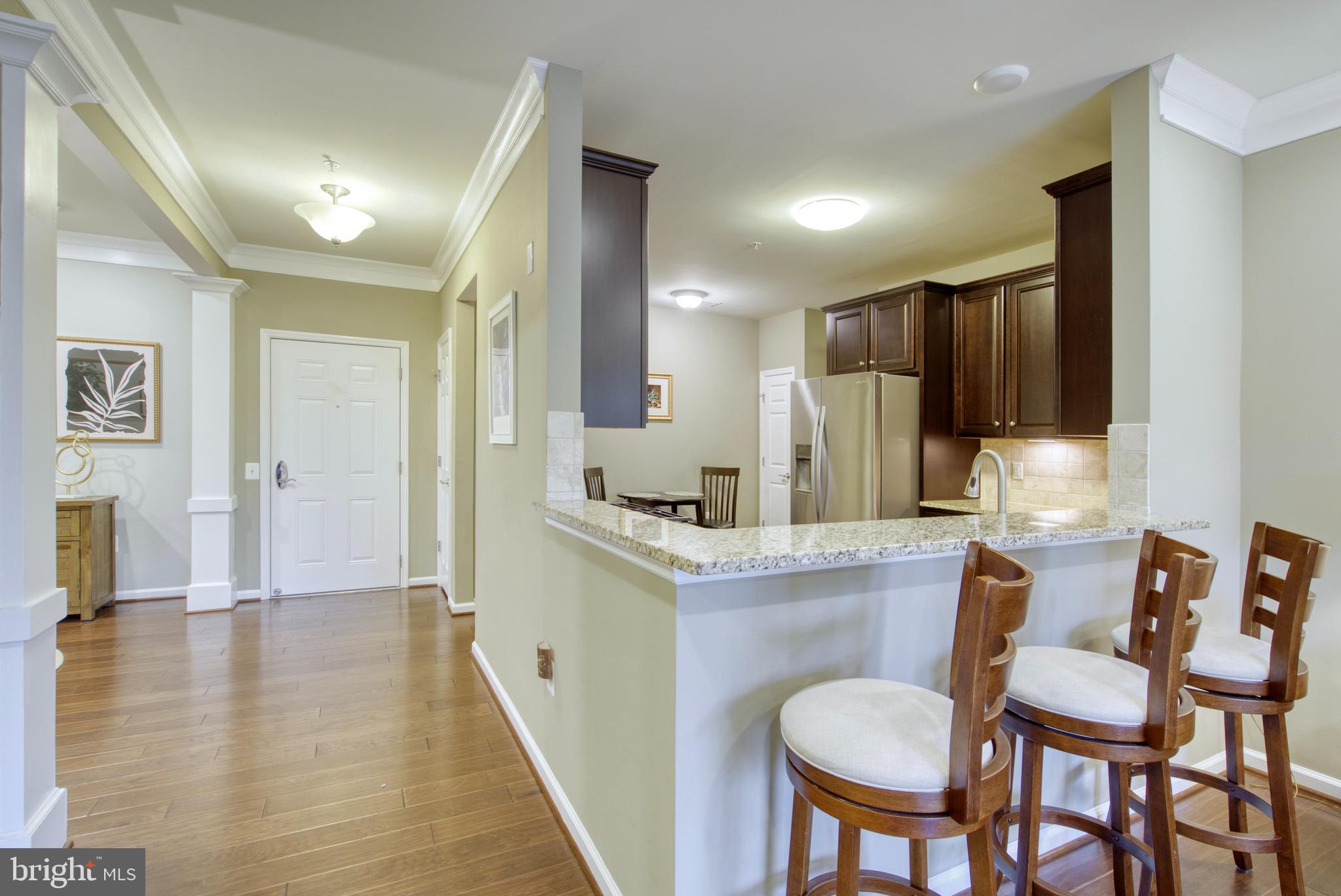 20580 HOPE SPRING TER #101