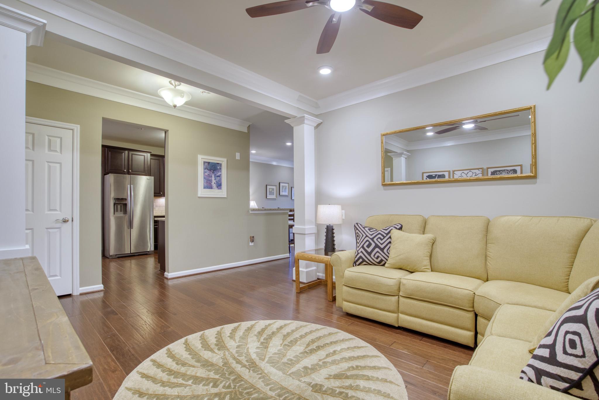 20580 HOPE SPRING TER #101