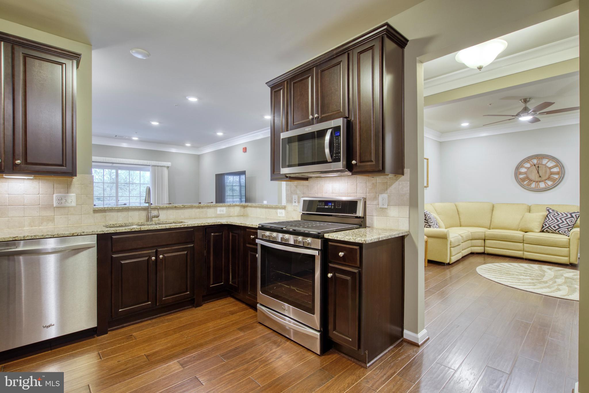 20580 HOPE SPRING TER #101