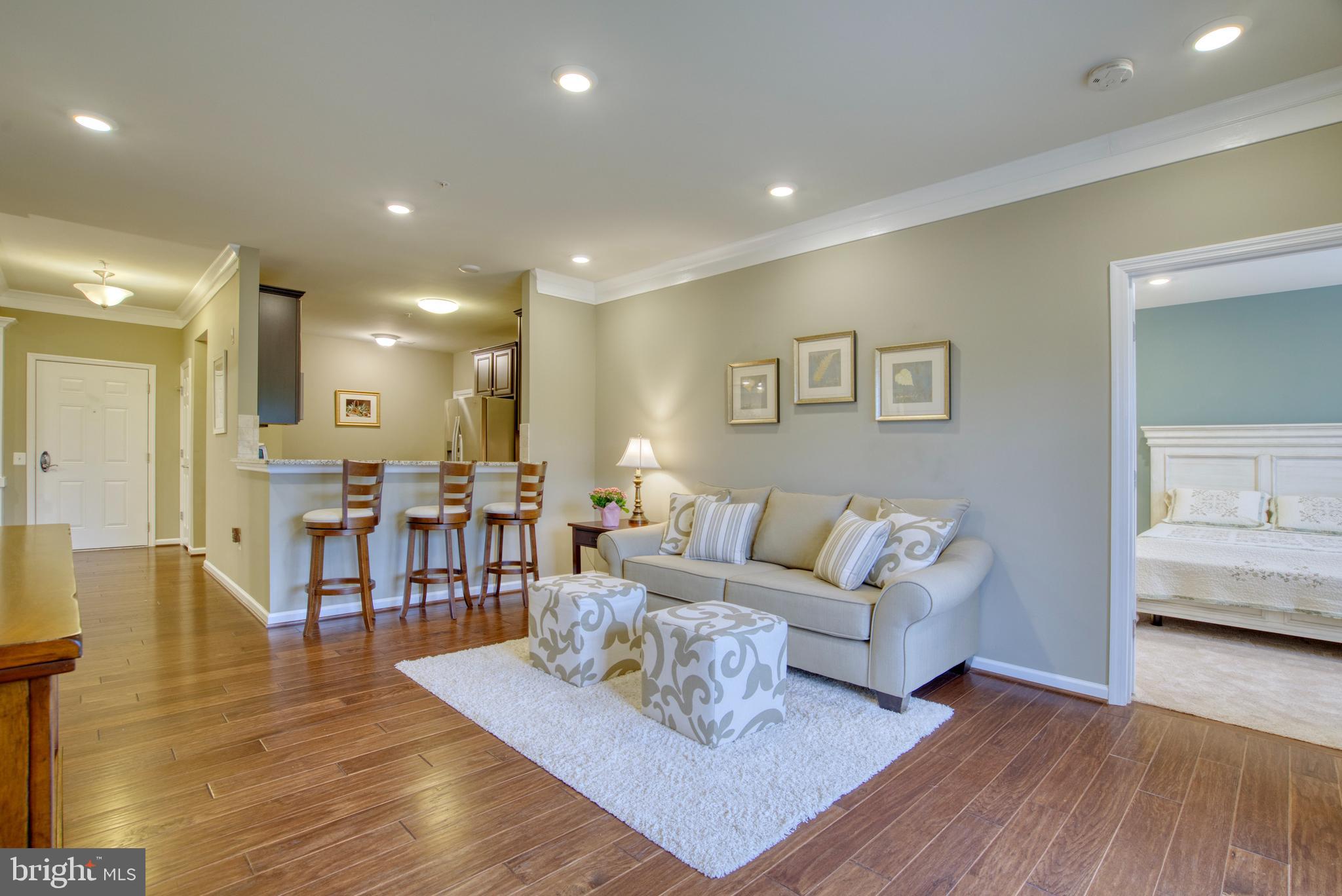 20580 HOPE SPRING TER #101