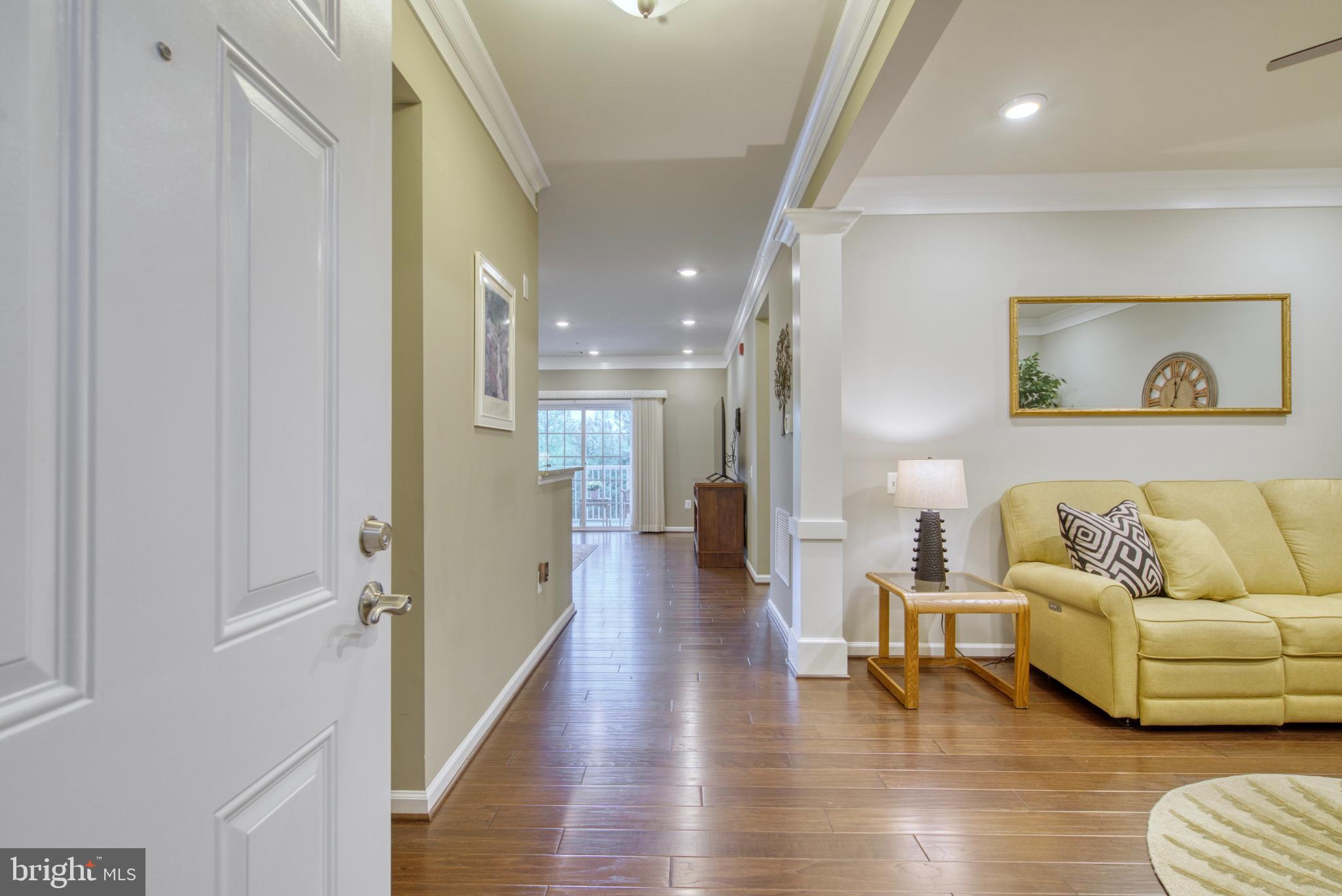 20580 HOPE SPRING TER #101