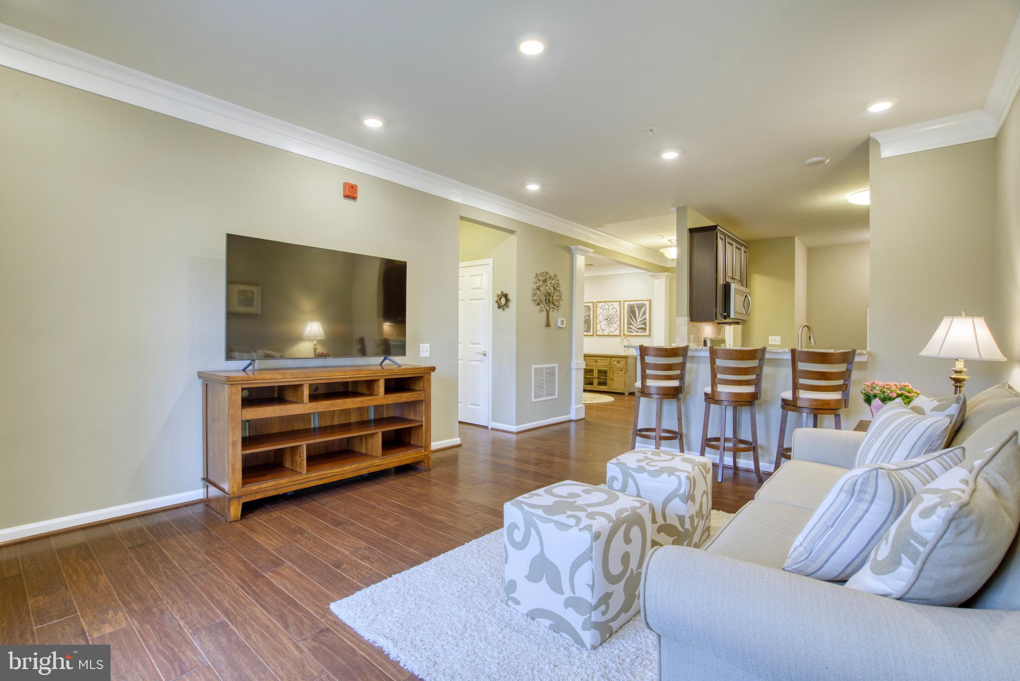 20580 HOPE SPRING TER #101