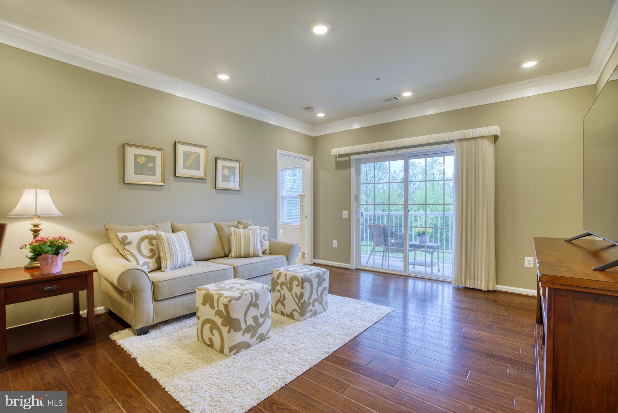 20580 HOPE SPRING TER #101