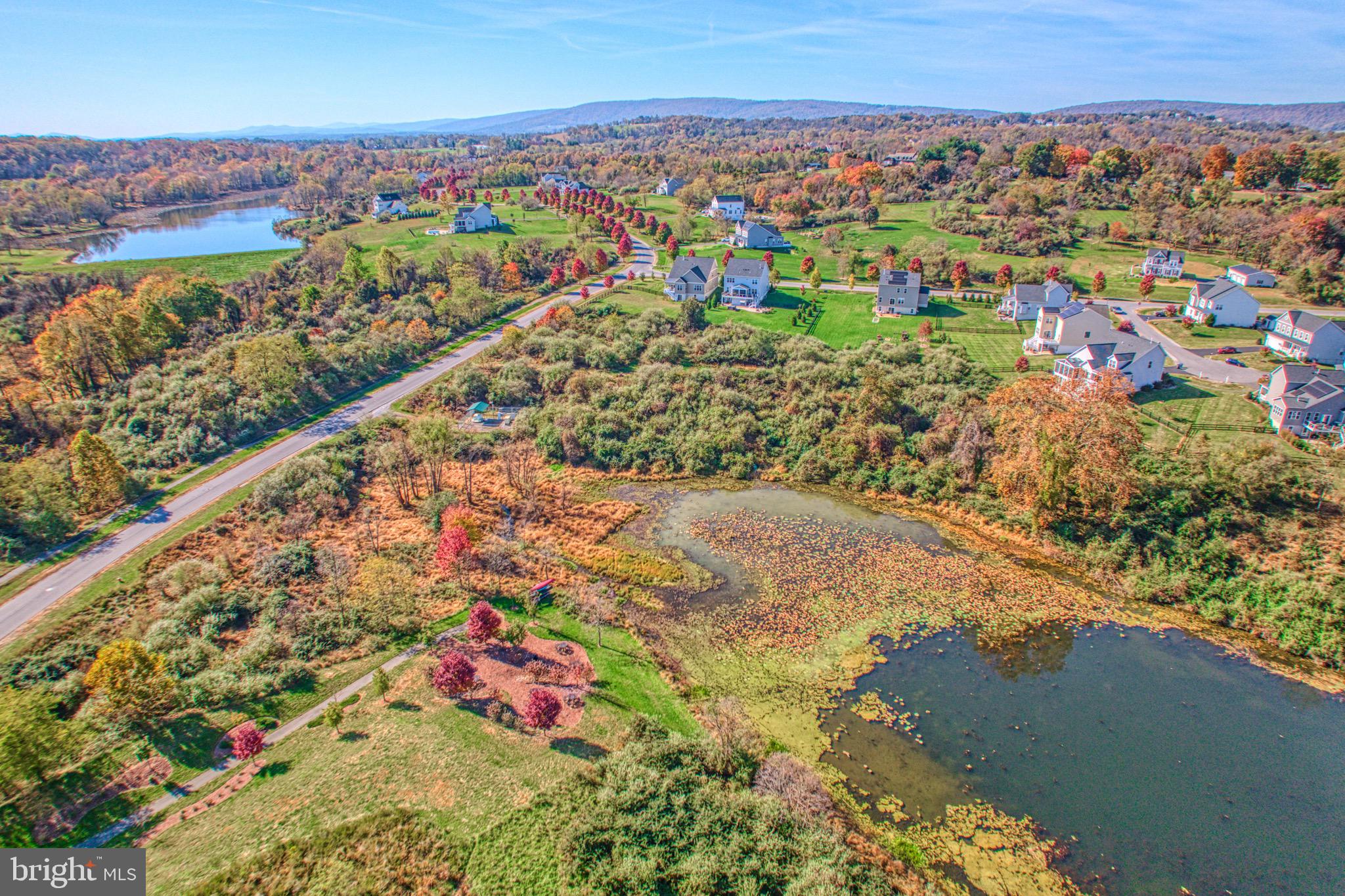 35825 Peninsula Ct