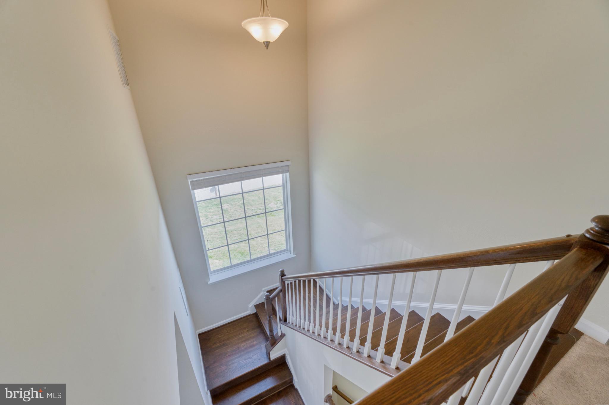 35825 Peninsula Ct