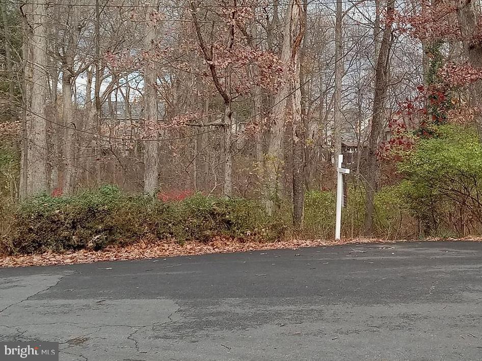 Lake Drive