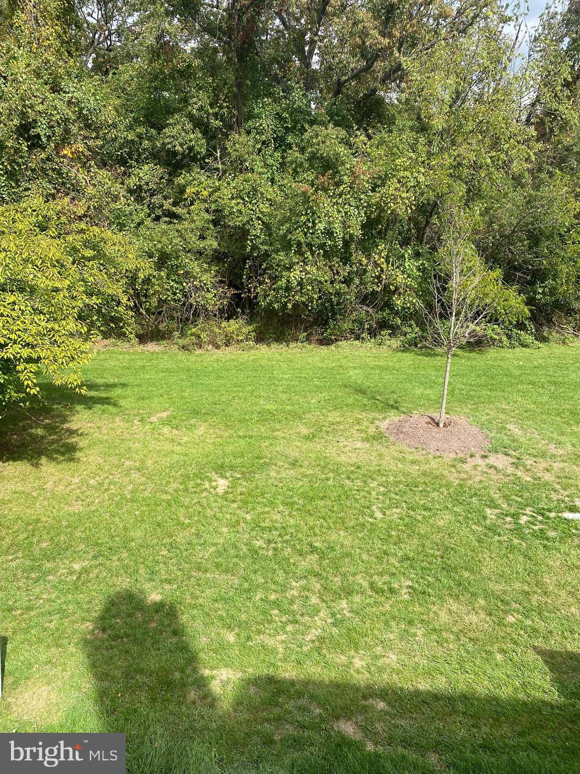 43581 PLANTATION TER