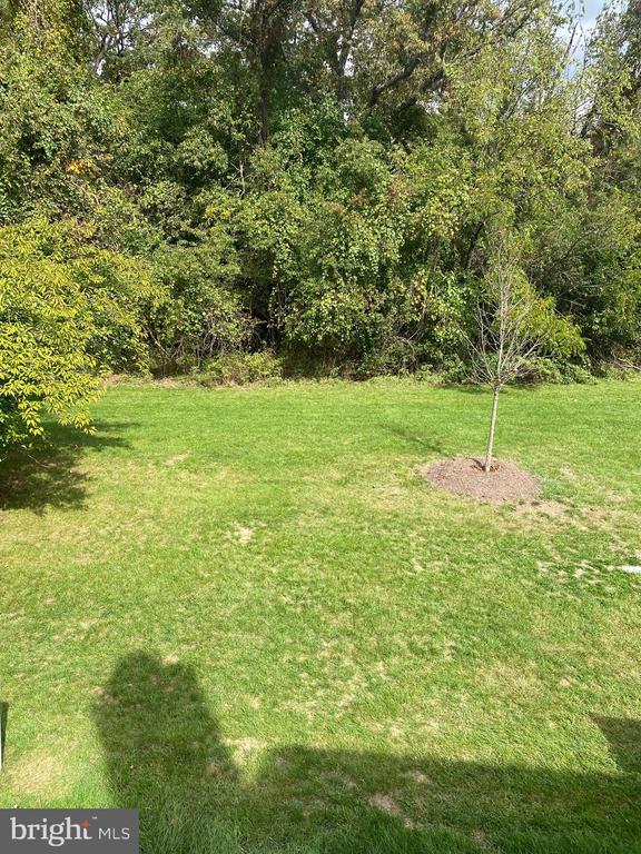 43581 PLANTATION TER