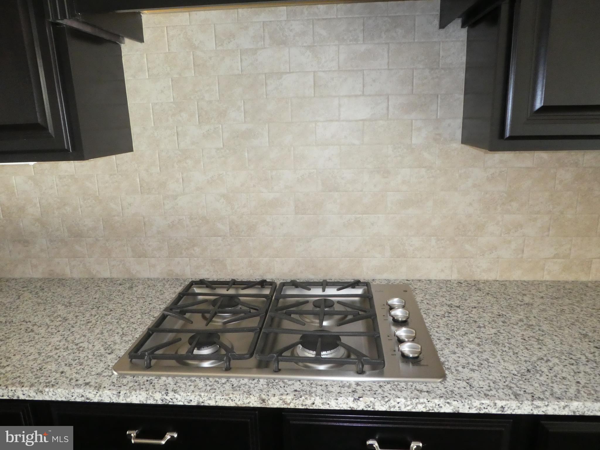 43390 WHITEHEAD TERRACE