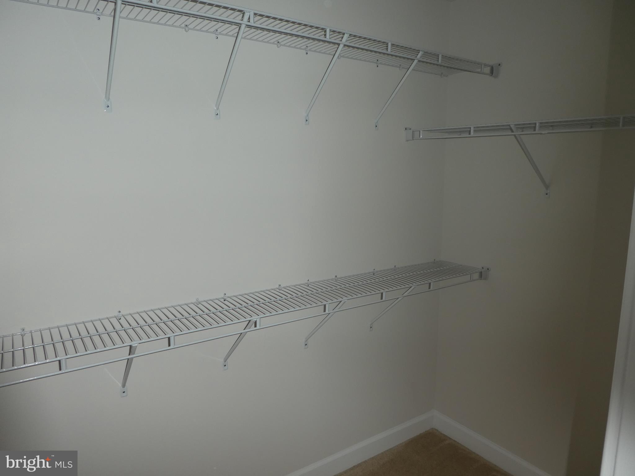 43390 WHITEHEAD TERRACE