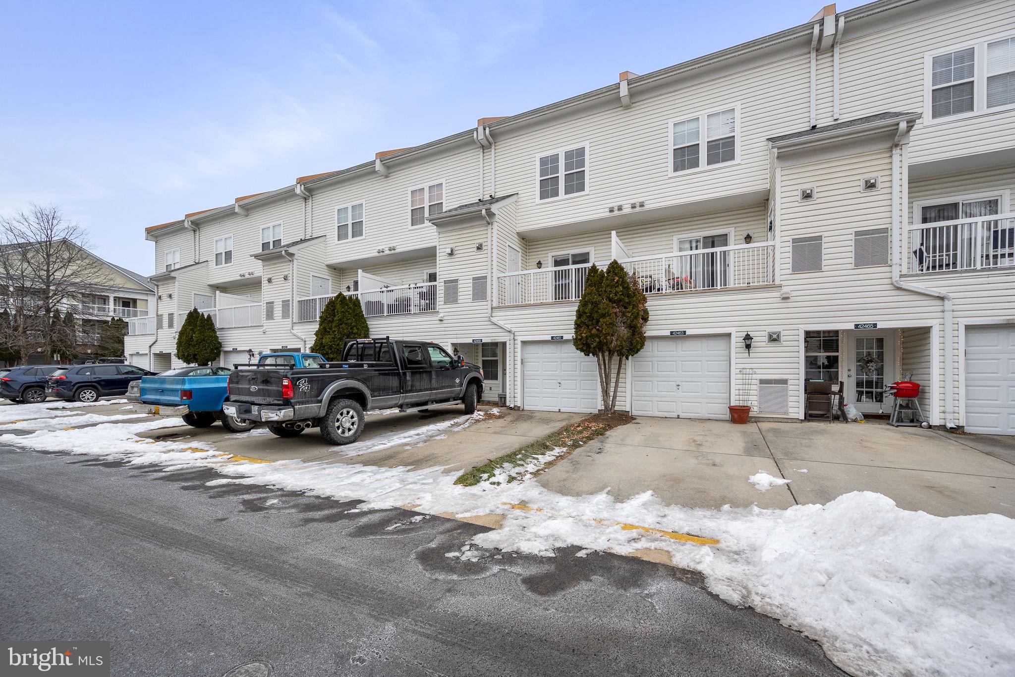 42461 Hollyhock #42461