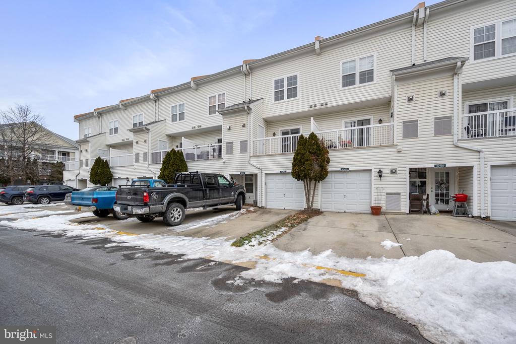 42461 Hollyhock #42461