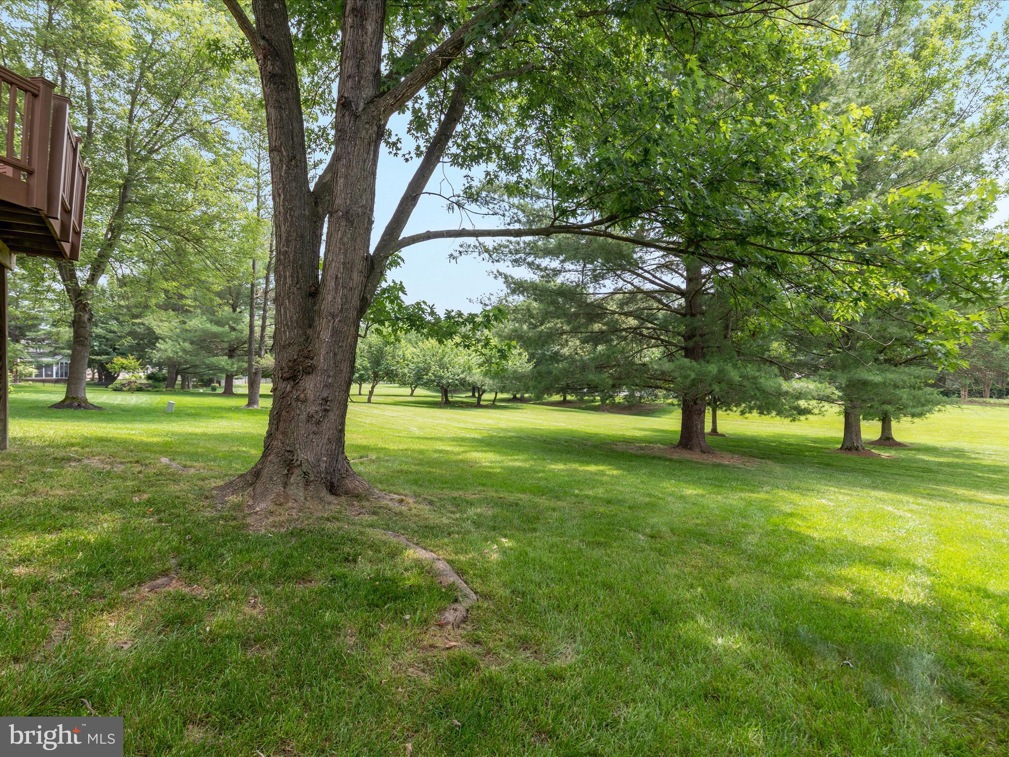 21 Griswold Ct