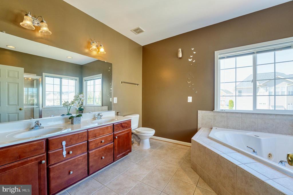 22255 Waterberry Ter