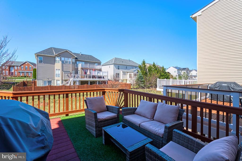 22255 Waterberry Ter