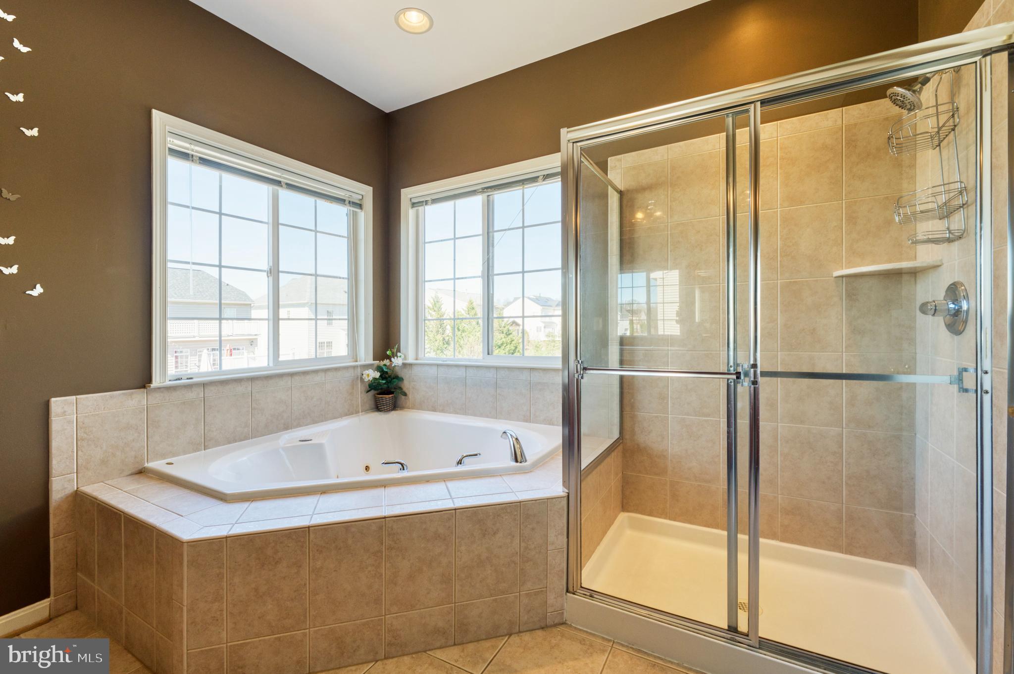 22255 Waterberry Ter