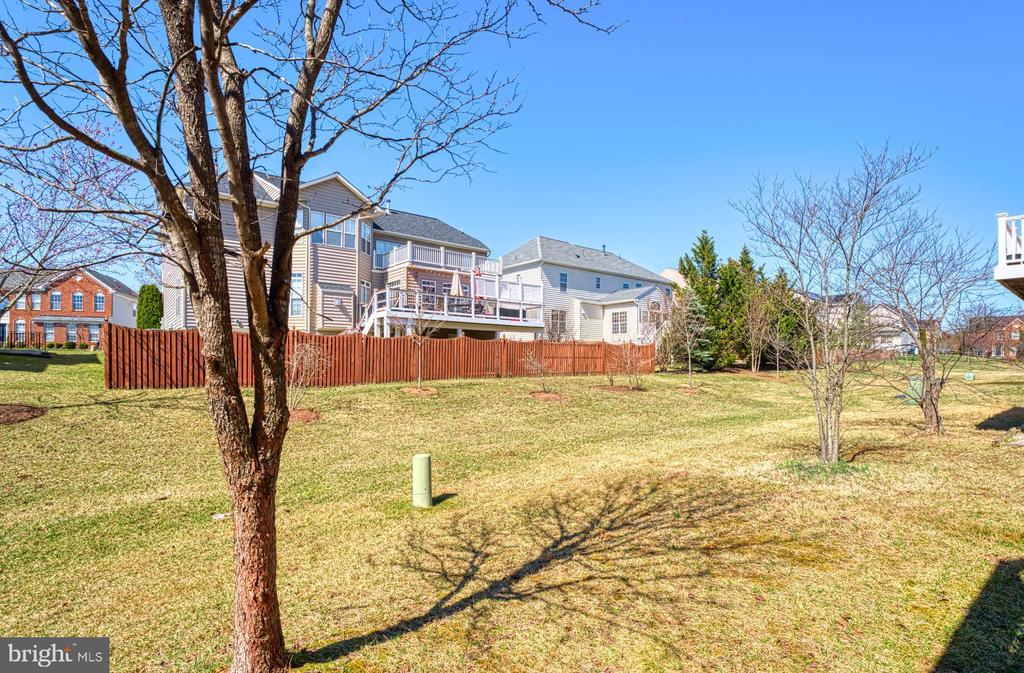 22255 Waterberry Ter