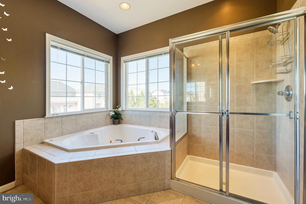 22255 Waterberry Ter