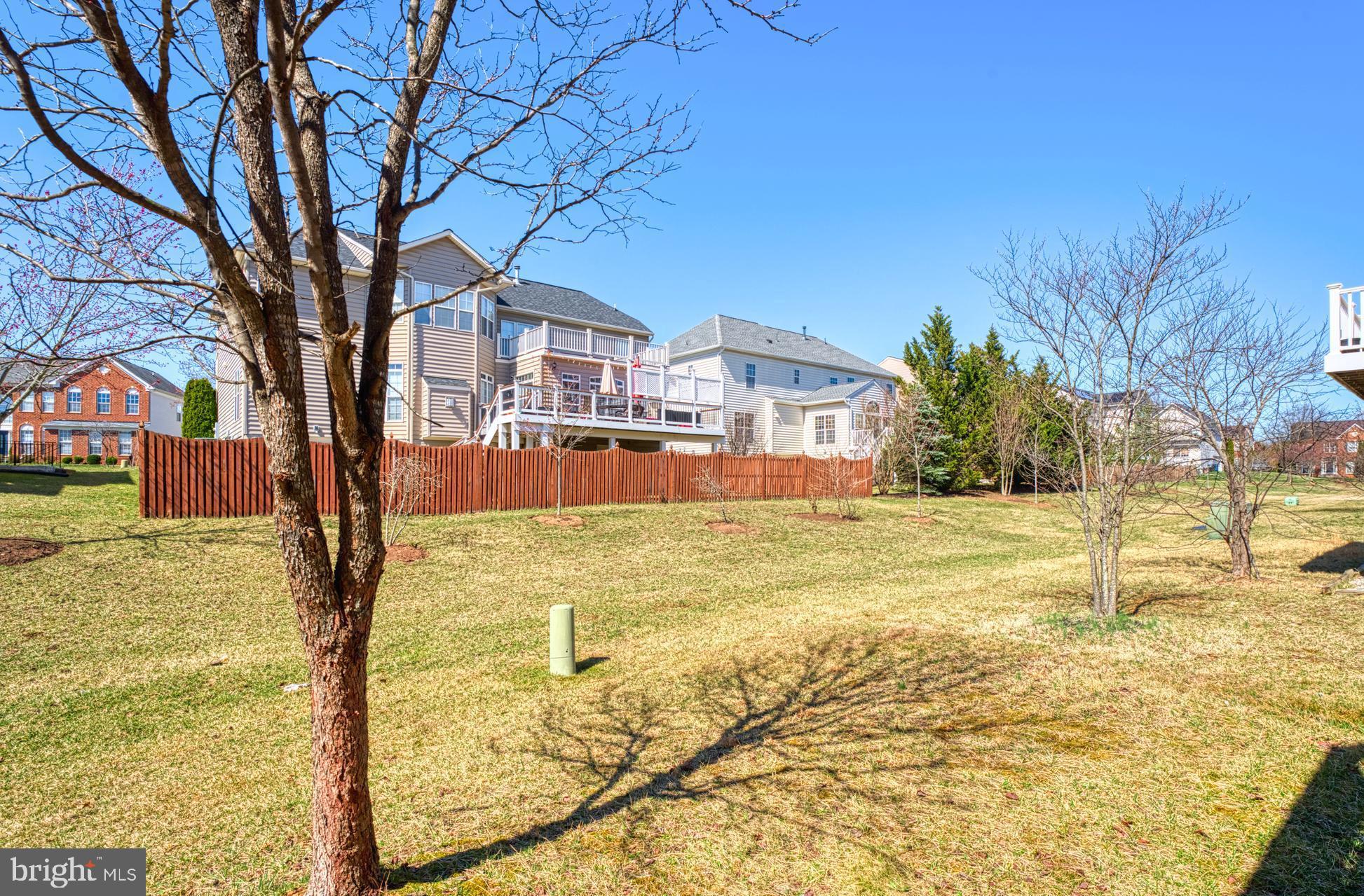 22255 Waterberry Ter