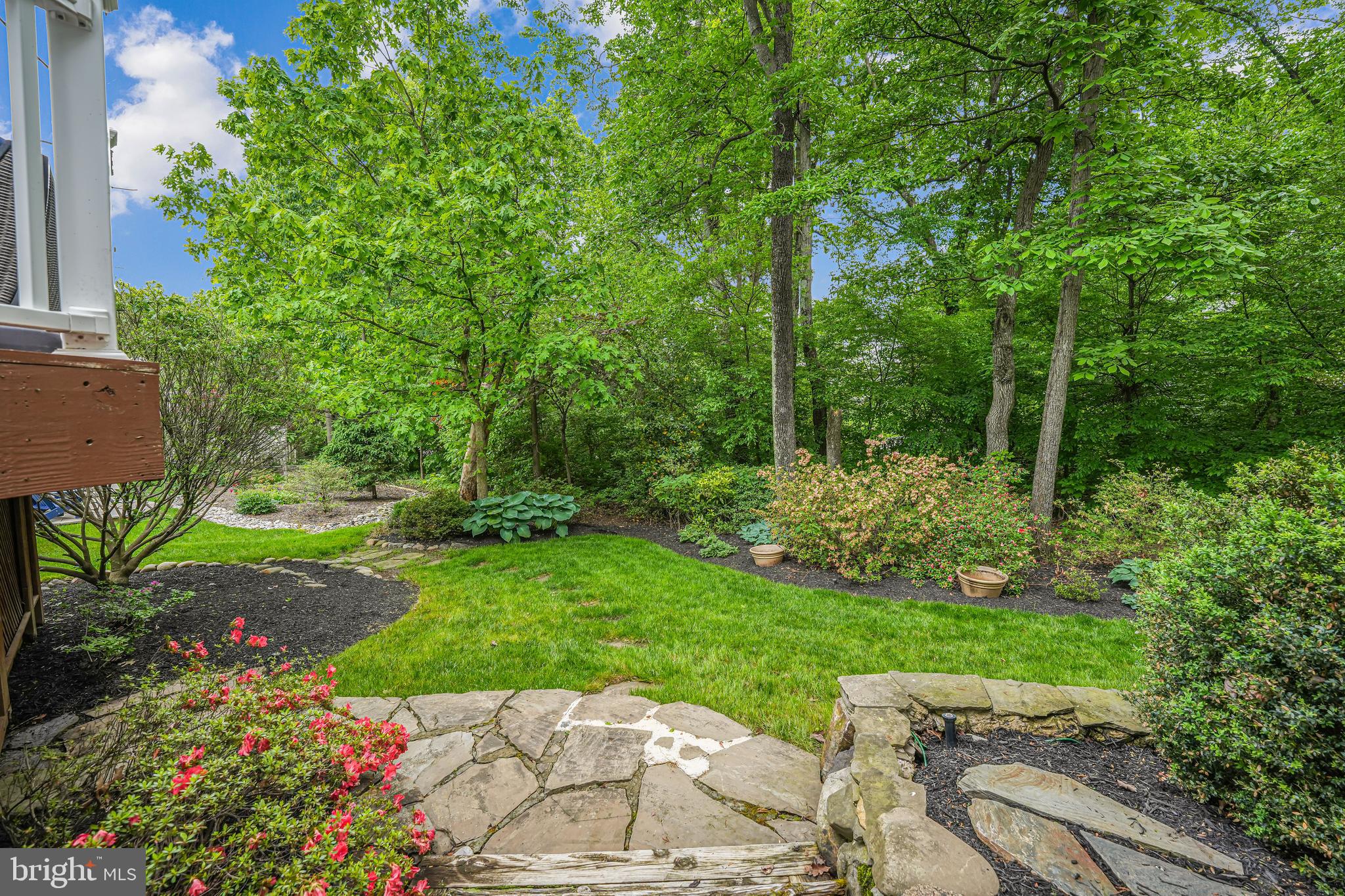42917 Cattail Meadows Pl