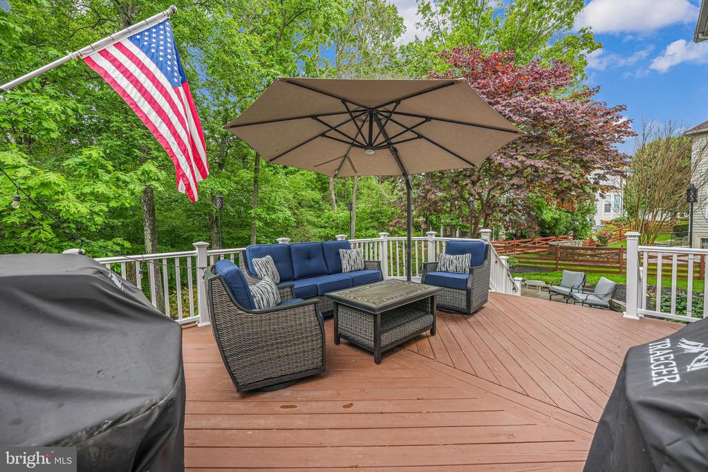42917 Cattail Meadows Pl
