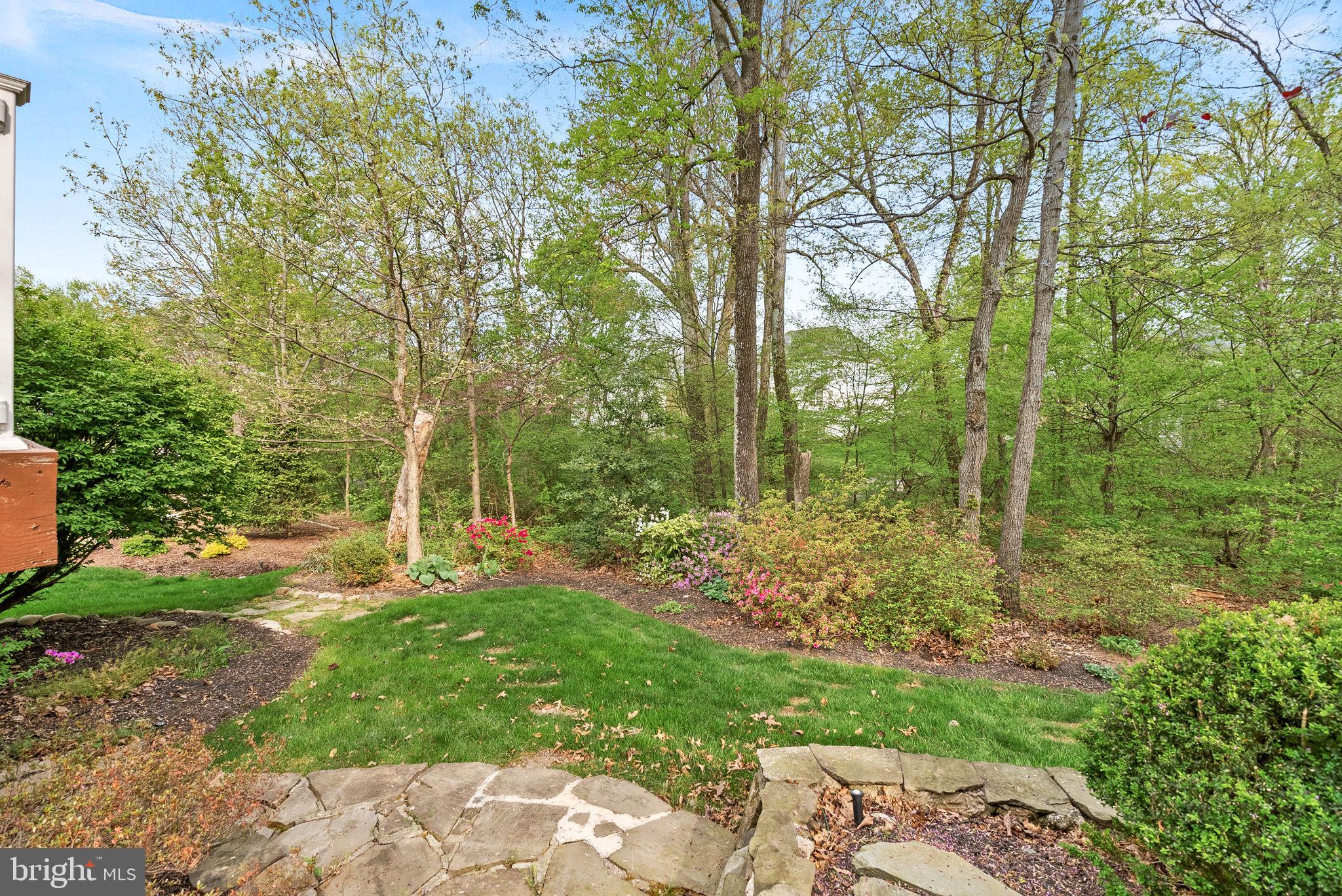 42917 Cattail Meadows Pl