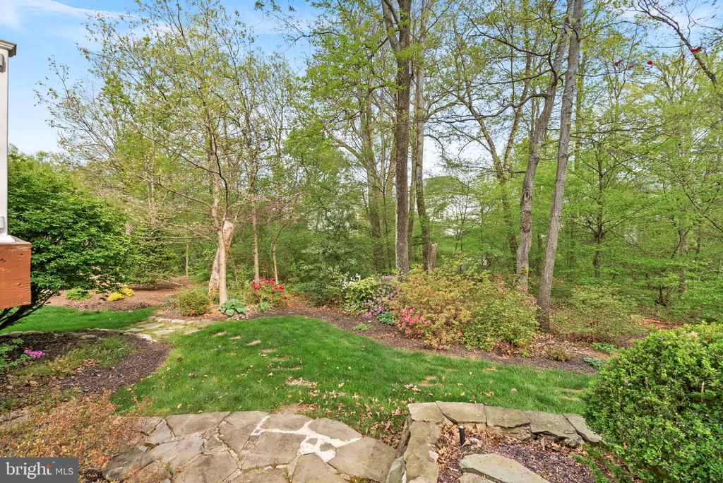42917 Cattail Meadows Pl