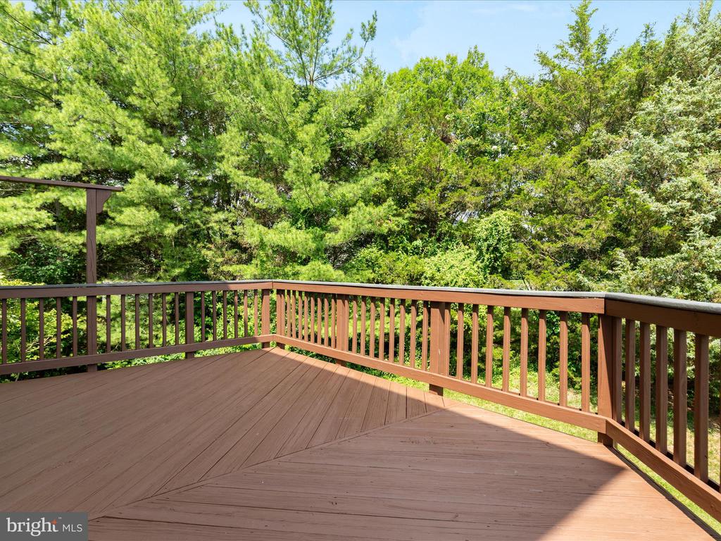 21417 Falling Rock Ter