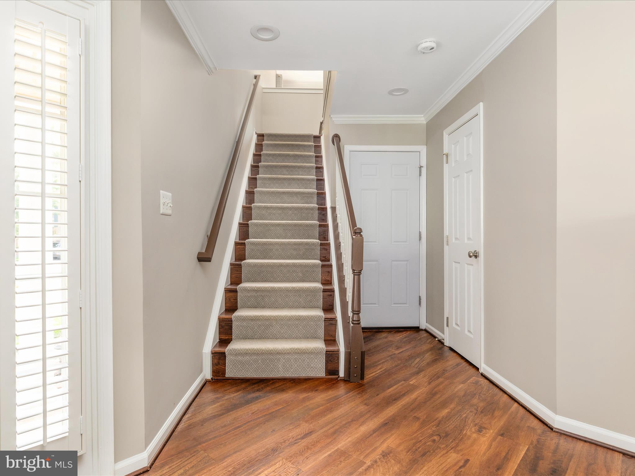 21417 Falling Rock Ter