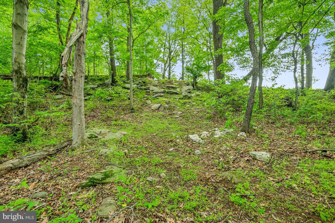14607 Summit View Ln